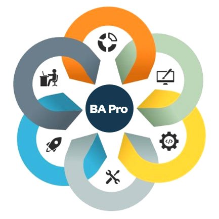 biz analyst pro